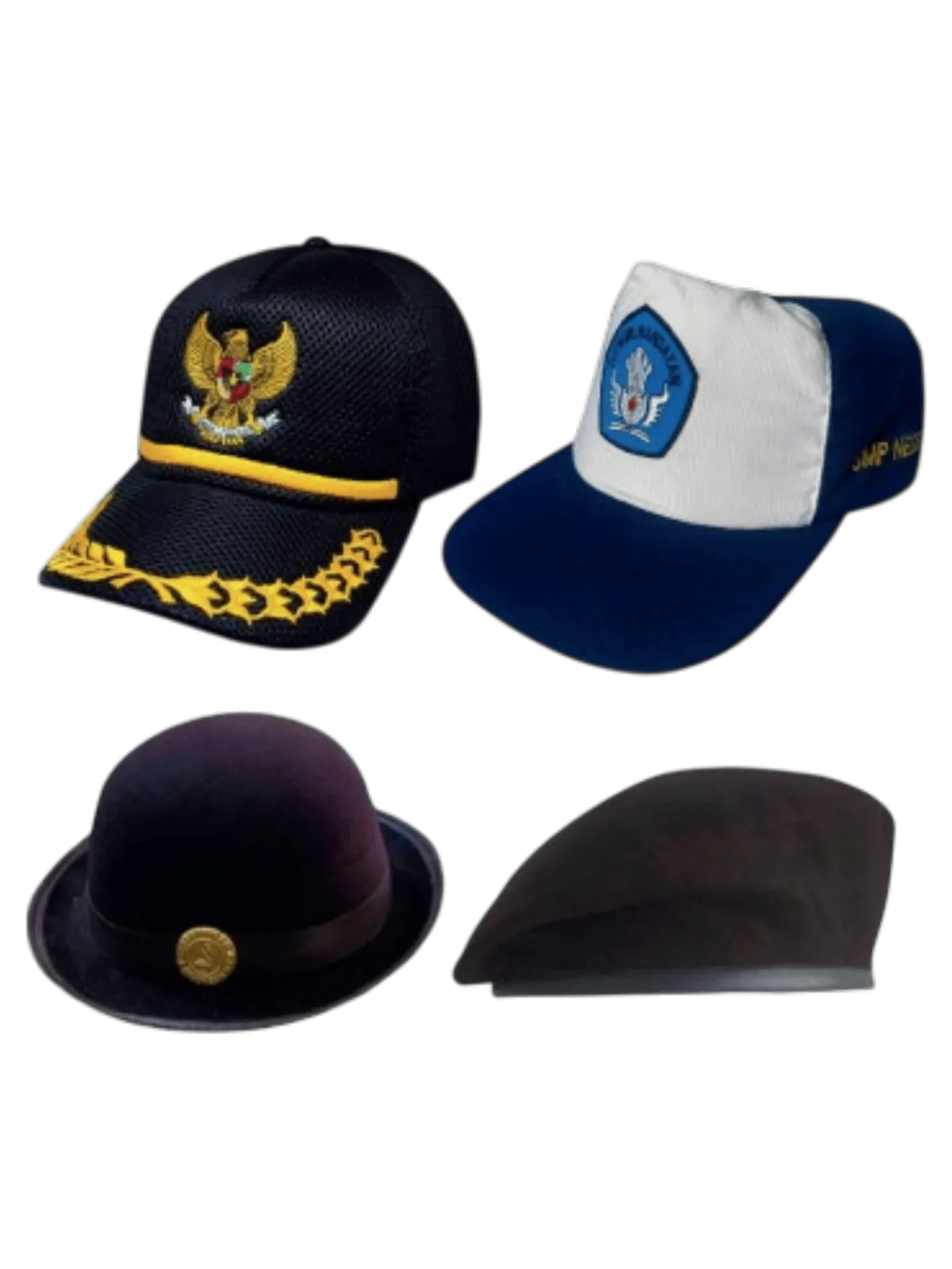 Topi